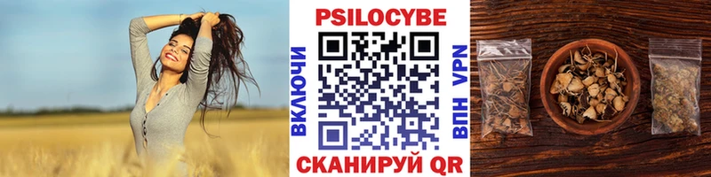 магазин продажи   Чебоксары  Псилоцибиновые грибы мухоморы 
