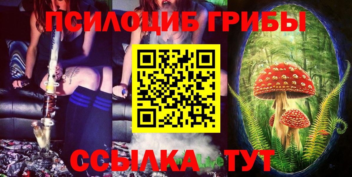 Псилоцибиновые грибы Psilocybine cubensis  Псилоцибиновые грибы GOLDEN TEACHER  Чебоксары  Вход с VPN 