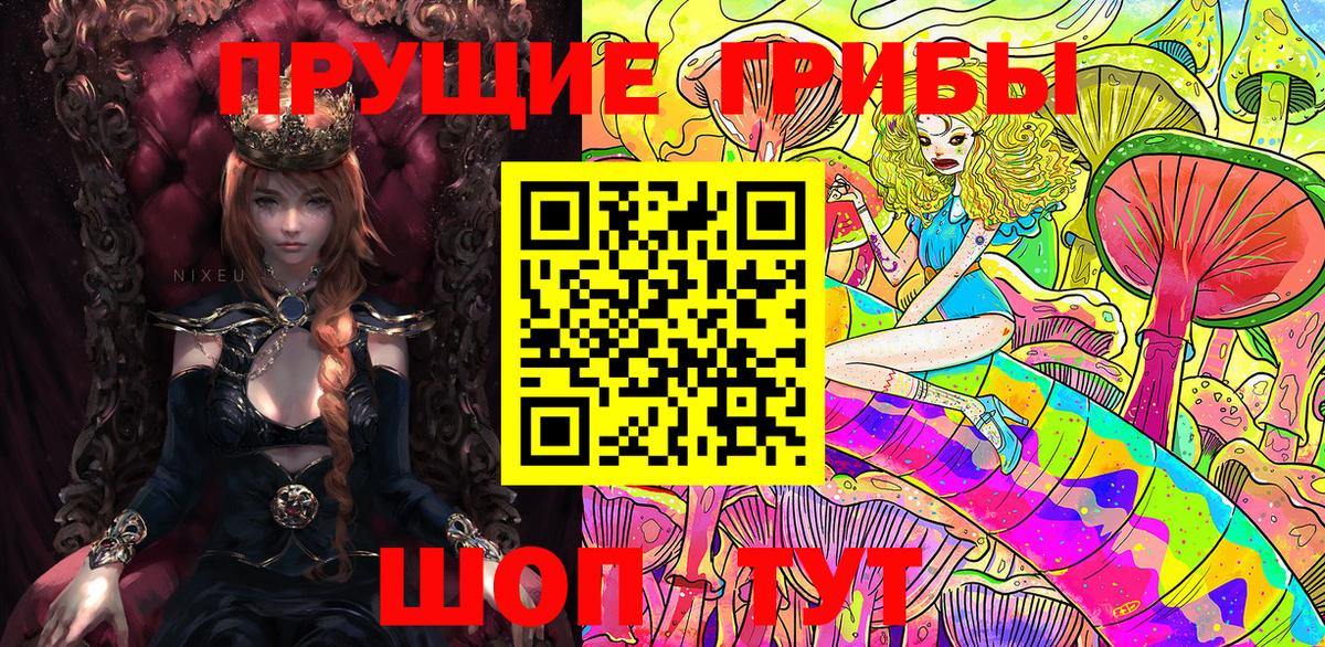 Псилоцибиновые грибы GOLDEN TEACHER Чебоксары