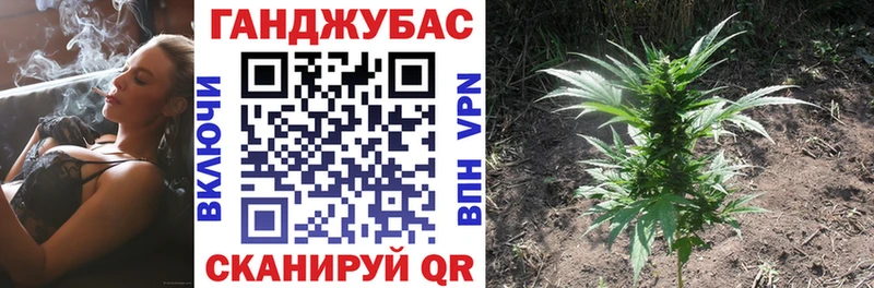 Бошки Шишки ГИДРОПОН Чебоксары